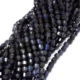 Perles naturelles Iolite brins, facette, Toupie, perles de prisme à double pointe