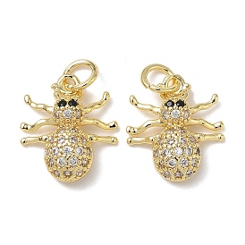 Латунные микро проложить кубического циркония прелести, с целью перехода в кольце, прелести паука, без свинца и без кадмия, долговечный, стойки покрытие