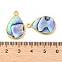 Natural Paua Shell Pendants, Teardrop Charms with Brass Findings