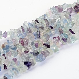Gemstone Beads Strands, Natural Fluorite, Chips