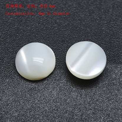 Shell Cabochons, Half Round