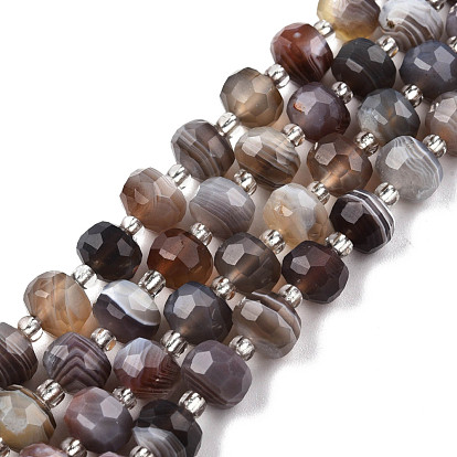 Natural Botswana Agate Beads Strands, with Seed Beads, Faceted, Rondelle