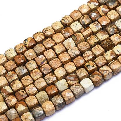 Natural Picture Jasper Beads Strands, Cube, Faceted