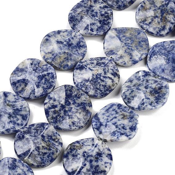 Natural Blue Spot Jasper Beads Strands, Wavy Flat Round