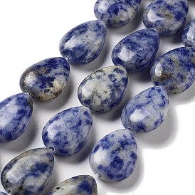Perles de jaspe tache bleue naturelle, larme plat