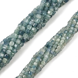 Brins de cyanite naturelle / cyanite / perles de disthène, perles cubiques à facettes taillées sur table