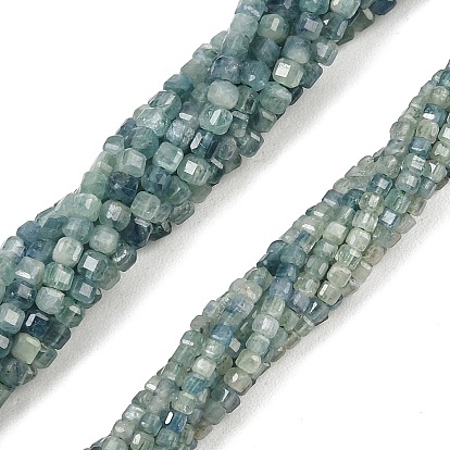 Brins de cyanite naturelle / cyanite / perles de disthène, perles cubiques à facettes taillées sur table