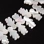 Natural Shell Beads, Child, 15x8x2mm, Hole: 1mm
