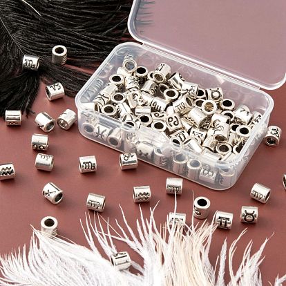 12Pcs 12 Style Alloy European Beads, Large Hole Beads, Twelve Constellations, Antique Silver