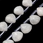 Бусины из натурального радужного лунного камня, Грановитая Teardrop, с пластиковыми трубчатыми бусинами