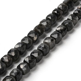 Natural Larvikite Beads Strands, Faceted, Cube