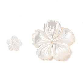 Natural White Shell Beads, Flower