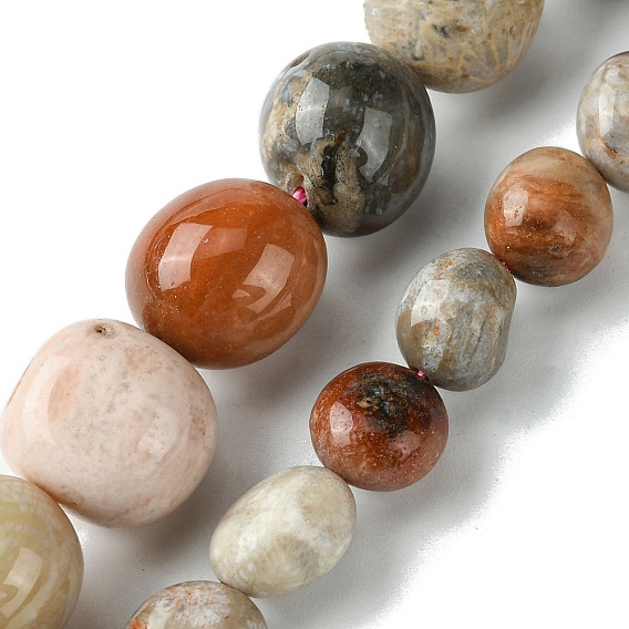 Природные окаменелые коралловые бусы пряди, овальные, упавший камень