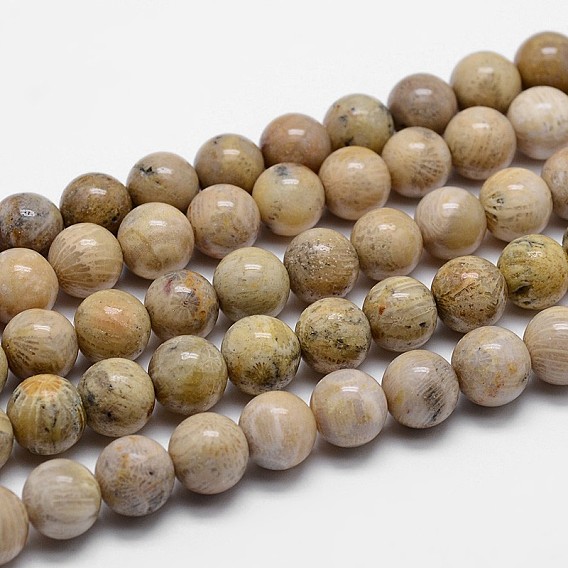 Natural Fossil Coral Beads Strands, Grade A, Round