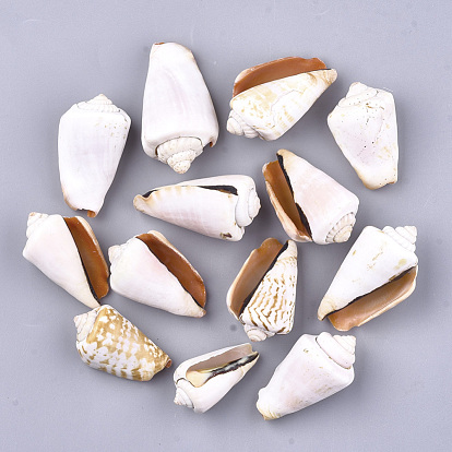 Natural Spiral Shell Red Lip Shell Beads, Undrilled/No Hole Beads