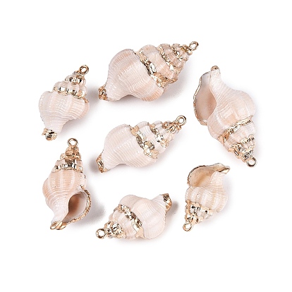 Pendentifs en coquillage spiralé naturel avec garniture en laiton doré électroplaqué, charmes de conque