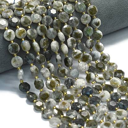 Природные лабрадорита бисер нитей, граненый шестиугольный разрез, плоско-круглые, с бисером