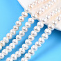 Natural Cultured Freshwater Pearl Beads Strands, Rondelle