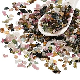 Pandahall Natural Tourmaline Chip Beads, No Hole/Undrilled