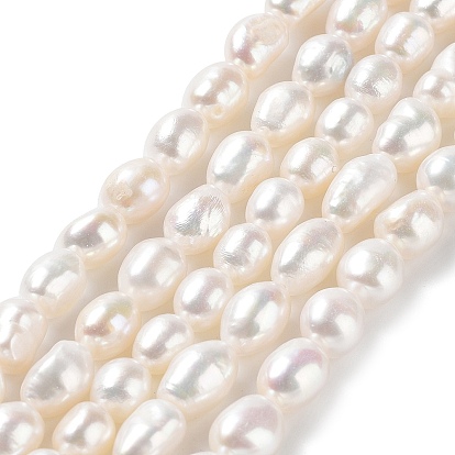 Natural Cultured Freshwater Pearl Beads Strands, Two Side Polished, Grade 4A+