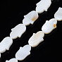 Natural Freshwater Shell Beads Strands, Hamsa Hand