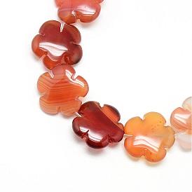 Teints rangées de perles en agate rouge naturel, fleur