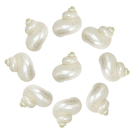 10 шт. мини-бусины из натуральных спиральных ракушек, без отверстия 