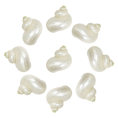 10 шт. мини-бусины из натуральных спиральных ракушек, без отверстия 