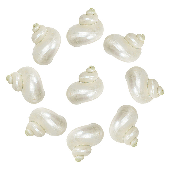 10 шт. мини-бусины из натуральных спиральных ракушек, без отверстия 