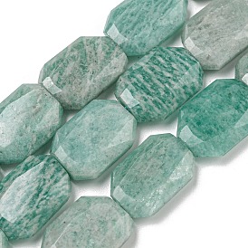 Natural Amazonite Beads Strands, Hexagon, Faceted