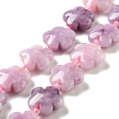 Natural Phosphosiderite Beads Strands, 5-petal Flower