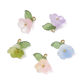 5 шт. подвесок ручной работы из акрила и лэмпворка, 