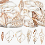 18Pcs 6 Styles Natural Shell Big Pendants, Shell Slice Charms