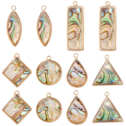 12шт 6 стили подвески из натуральной ракушки пауа, с фурнитурой позолоченной латунной, разнообразные