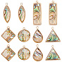 12шт 6 стили подвески из натуральной ракушки пауа, с фурнитурой позолоченной латунной, разнообразные