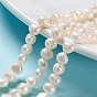 Natural Cultured Freshwater Pearl Beads Strands, Two Sides Polished, Nuggets