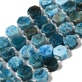 Natural Apatite Beads Strands, Hexagon, with Seed Beads