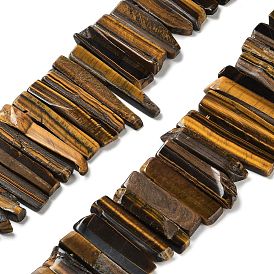 Natural Tiger Eye Beads Strands, Top Drilled Beads, Rectangle