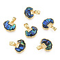Synthetic Abalone Shell/Paua Shell Charms with Real 18K Gold Plated Brass Findings, Nickel Free, Lucky Longevity Lock