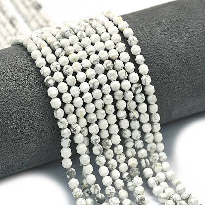 Природные Говлит бисер нитей, энергетическая призматическая огранка с двойными концами бусины, граненые двухконусные