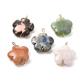 Natural Mixed Gemstone Links, with Brass Findings, Flower