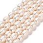 Natural Cultured Freshwater Pearl Beads Strands, Rice, Grade A