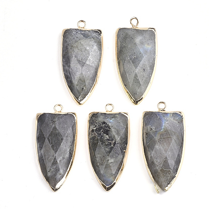 Natural Labradorite Pendants, with Brass Findings, Faceted, Shield, Golden
