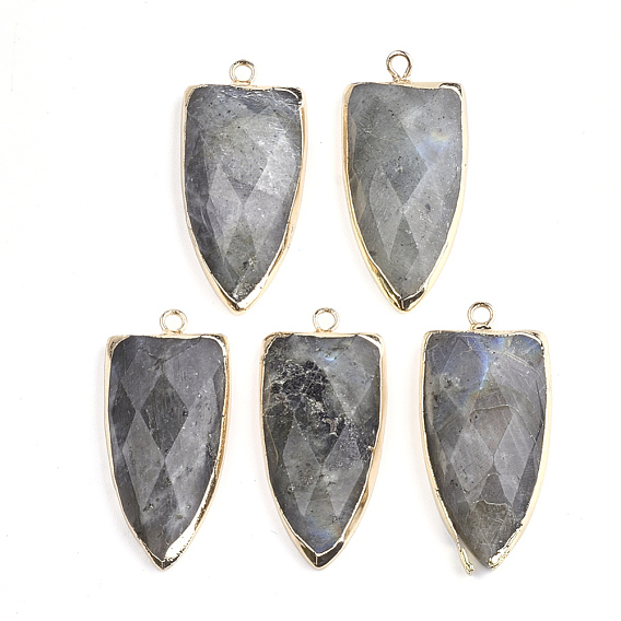 Natural Labradorite Pendants, with Brass Findings, Faceted, Shield, Golden