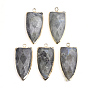 Natural Labradorite Pendants, with Brass Findings, Faceted, Shield, Golden