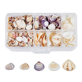 5 стили бусины из ракушек, неочищенные / без отверстий