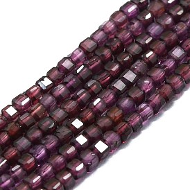 Natural Garnet Beads Strands, Faceted, Cube