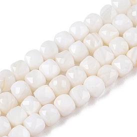 Natural White Shell Beads Strands, Faceted, Cube