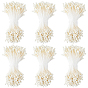 6Bundles Gypsum Artificial Flower Heart Core