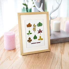 Leaf/Strawberry/Cactus Pattern Embroidery Starter Kits, including Embroidery Fabric & Thread, Needle, Instruction Sheet
